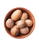 گل گاو زبان ممتاز سرمد - تصویر 2